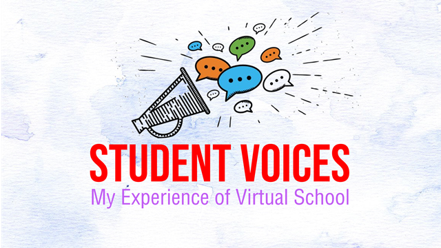 Virtual School