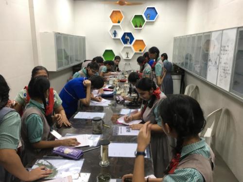 Students busy with science practicals