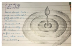 The Alchemy of Nature (14)