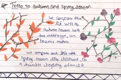 The Alchemy of Nature (16)