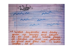 The Alchemy of Nature (17)