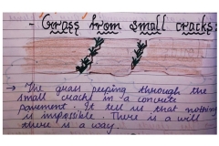 The Alchemy of Nature (18)