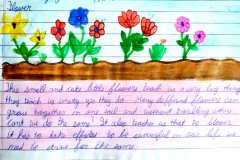 The Alchemy of Nature (20)