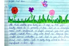 The Alchemy of Nature (22)