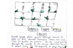 The Alchemy of Nature (3)